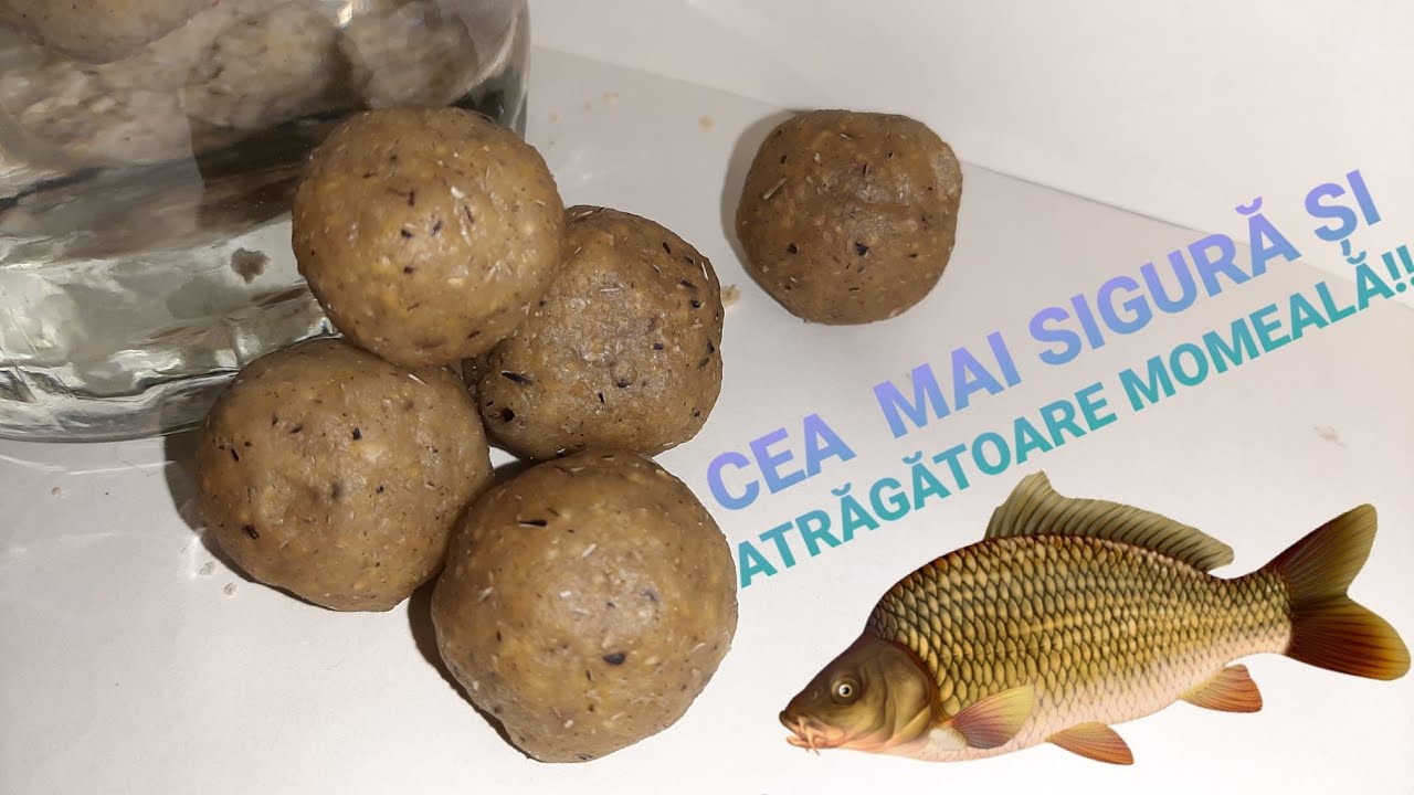 Cea mai EFICIENTA MOMEALA CRAP/CARAS! Reteta BOILIES.