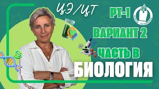 видео: 🌱 ГОТОВЬСЯ к ЦЭ по БИОЛОГИИ. РАЗБОР РТ-1 * ЧАСТЬ В * ВАРИАНТ 2 ( 2023-2024) #цэбиология #цэ #егэ #рт картинка: 🌱 ГОТОВЬСЯ к ЦЭ по БИОЛОГИИ. РАЗБОР РТ-1 * ЧАСТЬ В * ВАРИАНТ 2 ( 2023-2024) #цэбиология #цэ #егэ #рт