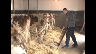 Bračni Par Barjaktarev Iz Botoša