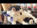 かごしまんけいきちの今朝も雑談中。2026.7.22
