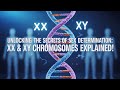 Unlocking The Secrets Of Sex Determination XX XY Chromosomes Explained Blueprint Of Life Unlocking The Secrets Of Sex Determination XX XY Chromosomes Explained Blueprint Of Life