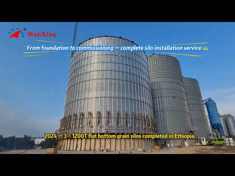 Ethiopia Grain Storage Project | 3&times;1200T Flat Bottom Silos Completed in 2024