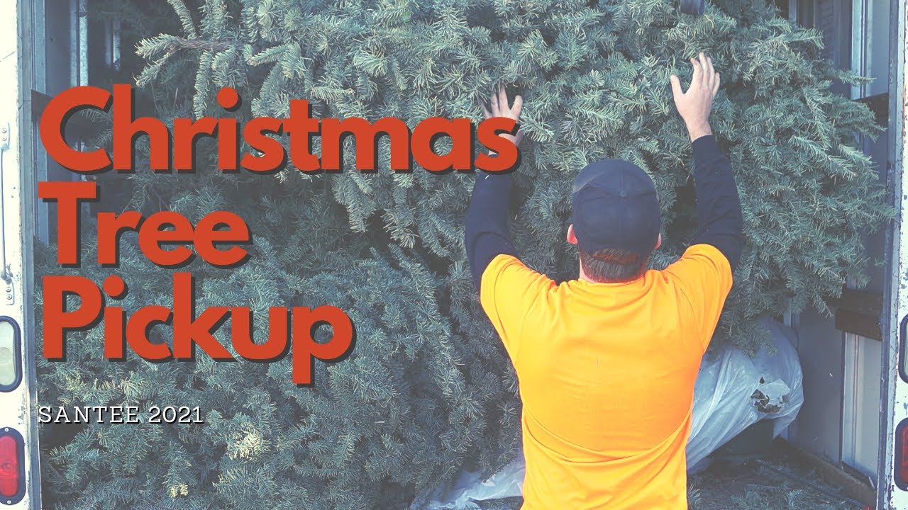 Santee Christmas Tree Pickup and Recycling - San Diego Real Estate Agent
