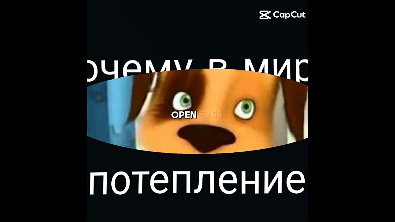 #мем дружок - YouTube