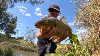 If ONLY Carp Ate LURES!!!