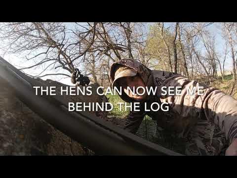 ELK3: ELK HUNTING SERIES (feat. Drew Rouse of Reel Game Calls on