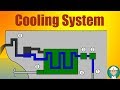 Diesel Engine Cooling System