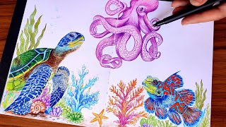 Magical Ocean Animals Drawing and Coloring Turtle Octopus and Fish Peaceful Art Therapy