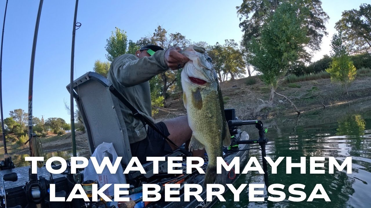 SUMMER TOPWATER MAYHEM ON LAKE BERRYESSA | BASS FISHING | CALIFORNIA #fishing #bassfishing