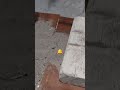 loader material loading #trending  #viralvideos  #share  #yt