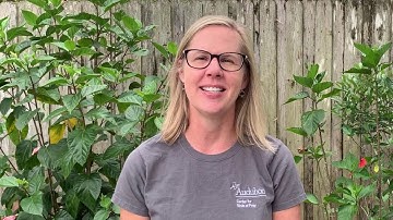 Virtual Lunch and Learn, April 10th