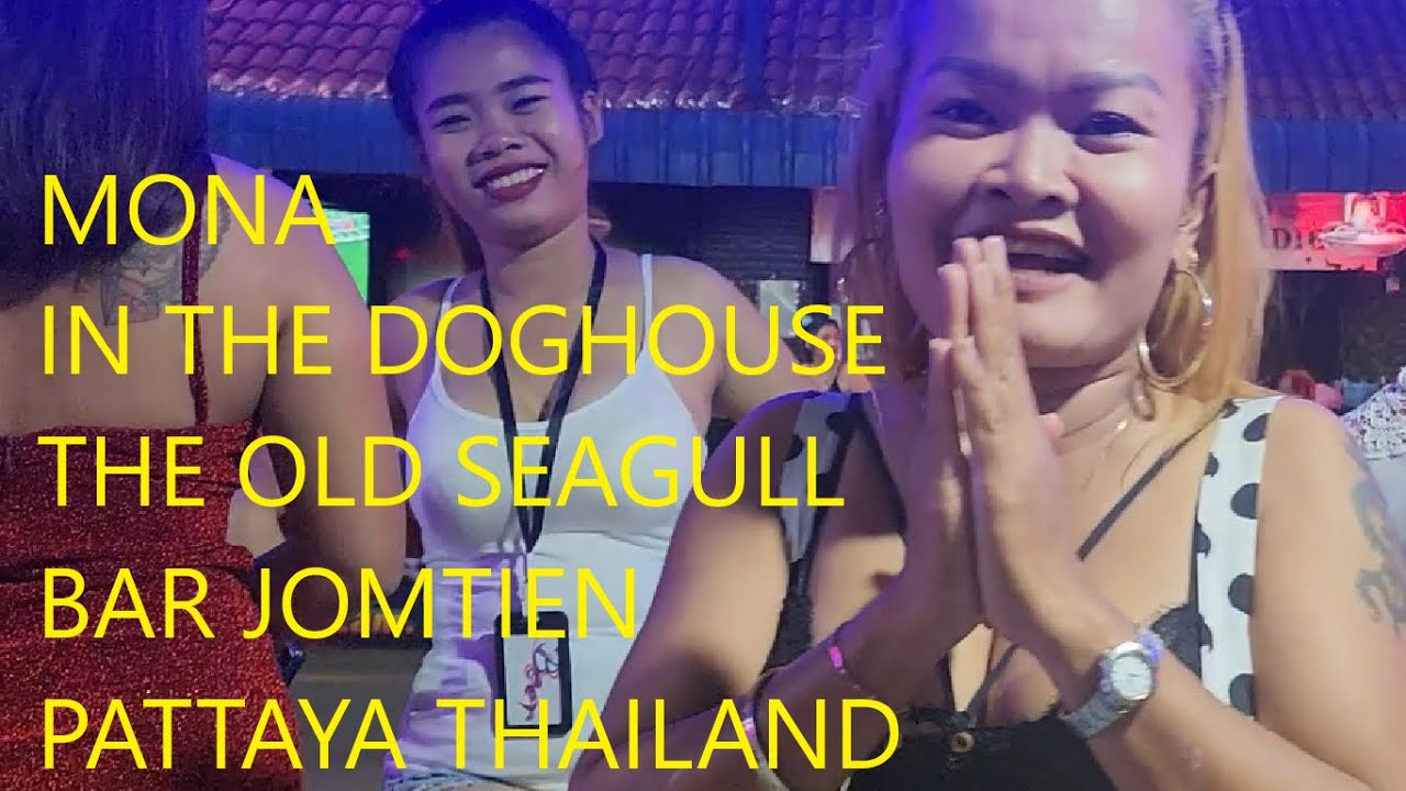Mona in the Dog House Bar & Baht Bus Home YouTube
