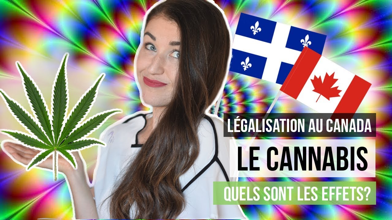 Cannabis: c'est quoi les effets? Connaître la loi au Canada & Québec! | TOUT SAVOIR SUR CETTE DROGUE
