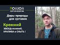 Кремний для суставов от асептического некроза и остеопороза. Хвощь, крапива и сныть для суставов.