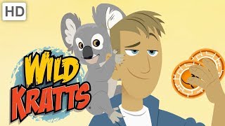 Wild Kratts  Kangaroos and Koalas | Kids Videos