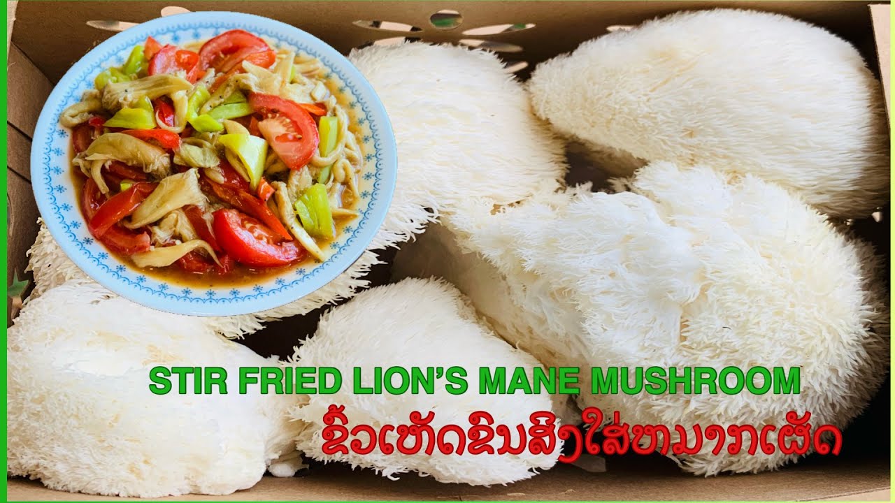 How to stir fried lion’s mane mushroom with peppers and tomato YouTube