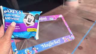 Disneyland Magic Key Giveaway FOMO!!￼