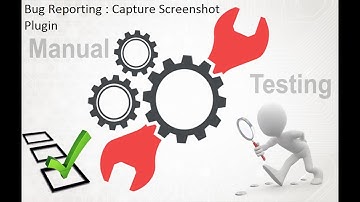 Manual Testing : Bug Reporting : Capture Screenshot Plugin