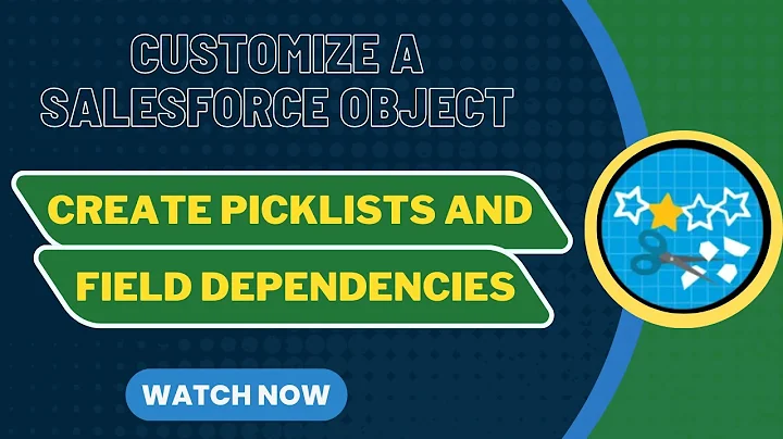 Salesforce Trailhead - Create Picklists and Field Dependencies