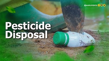How to Dispose Pesticides Properly
