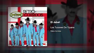 Watch Los Tucanes De Tijuana El Jabali video