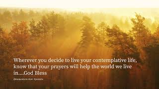 A Contemplative Life |@more-to-view #youtube