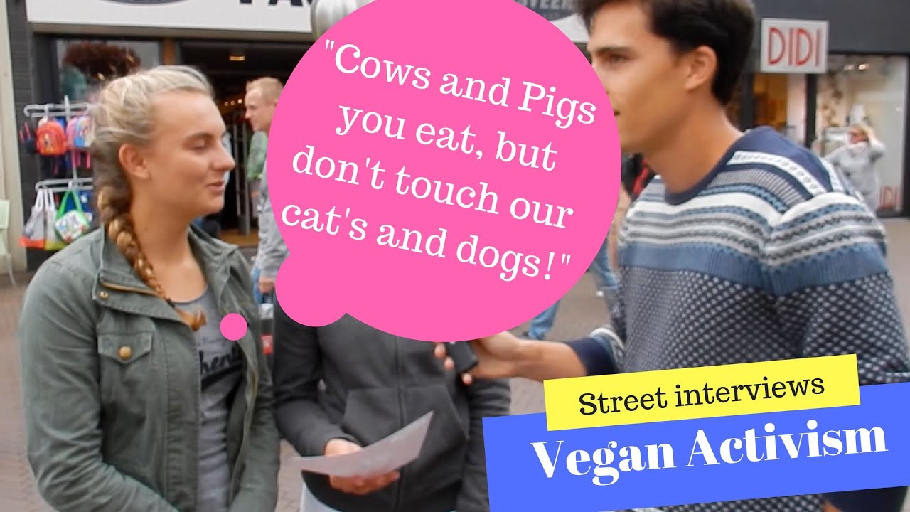 Dutch Vegan Activism - Street interview, public opinions, Sneekweek 2016