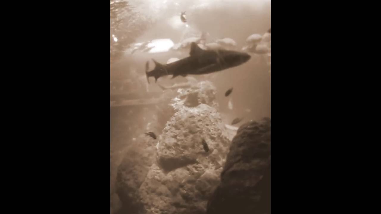 嵐 Power Of The Paradise Pv Full Ver Youtube