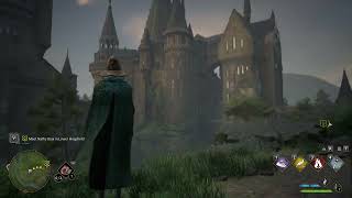 Hogwarts Legacy water bug