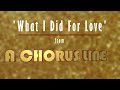&#39;What I Did For Love&#39; from A Chorus Line (Instrumental)