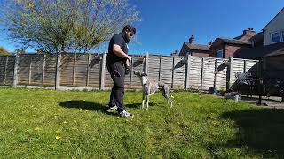 Marker word association. 