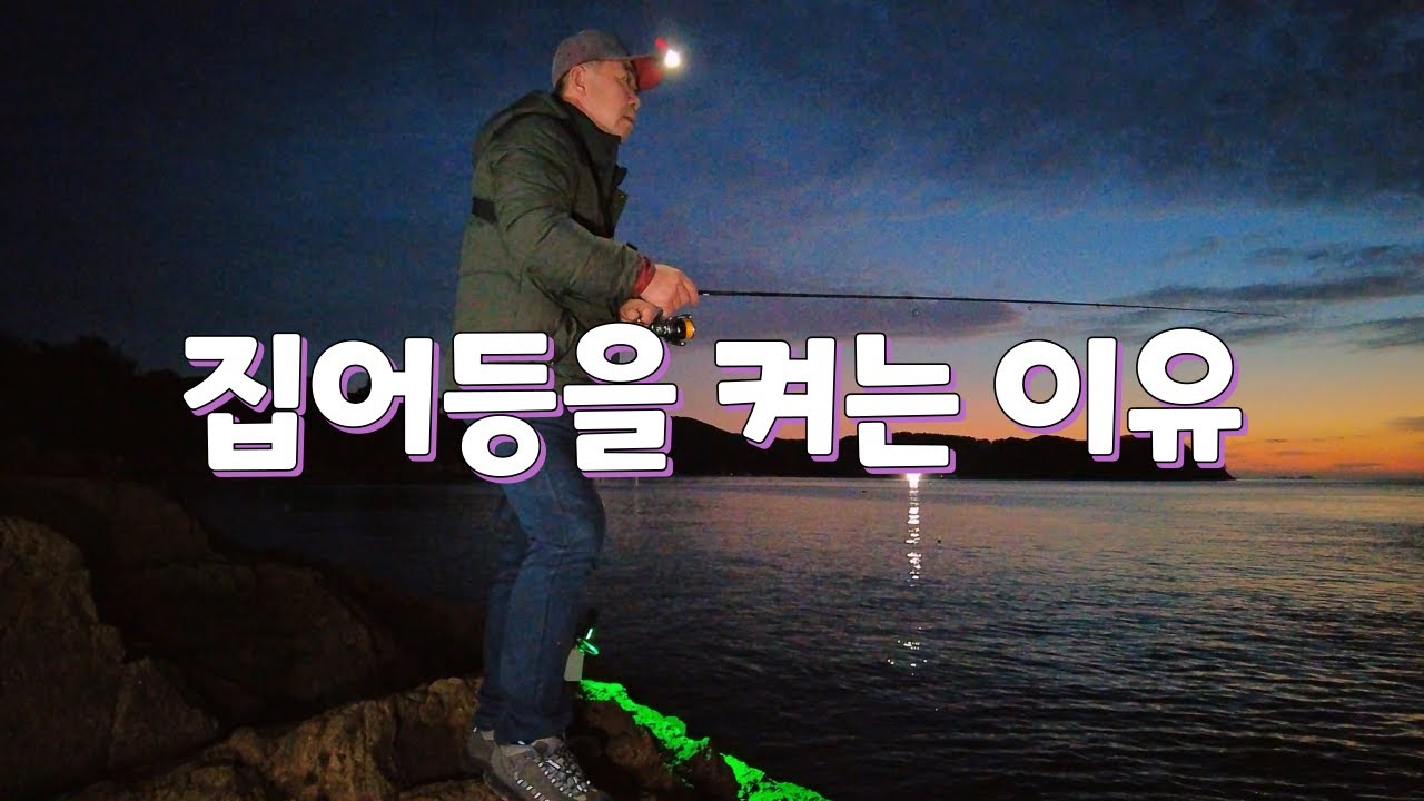 볼락 집어등을 켜는 이유