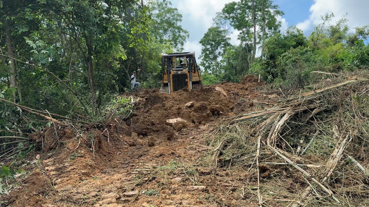 Bulldozer D6R XL Reliable Machine for Perfect Roads