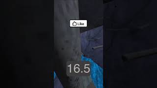 Comp-course timer? #gorillatag #gorillatagquest #vr