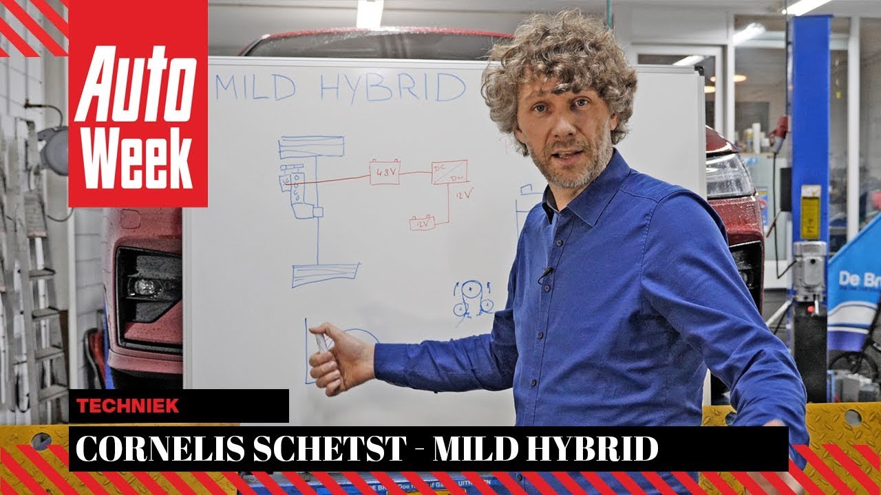 New Mild Hybrid - Cornelis schetst