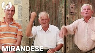 Antônio, Domingos, and Porfirio speaking Mirandese | Romance languages | Wikitongues