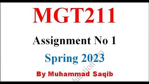 MGT211 Assignment 1 Solution 2023/ MGT211 Assignment 1 2023/ MGT211 Assignment Solution Spring 2023
