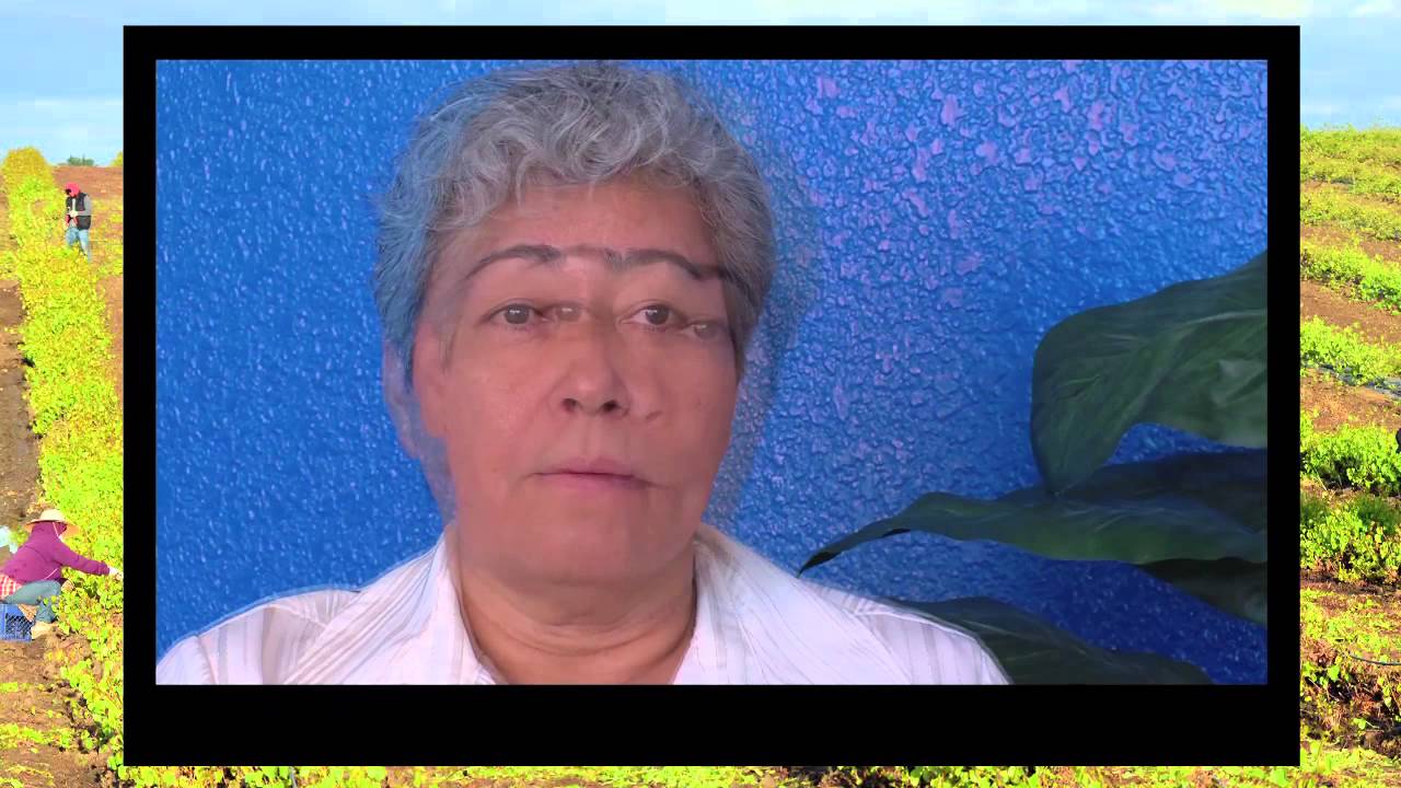 National Farmworker Jobs Program Appeal