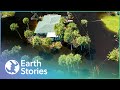 The most shocking water disasters in history  code red compilation water  earth stories