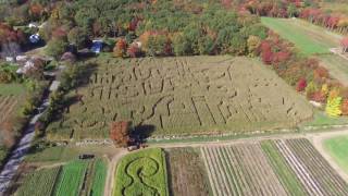 Drone Footage of Corn Maze