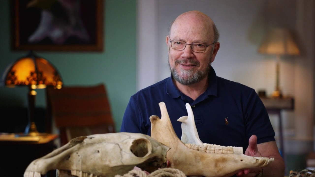 NOVA   First Horse Warriors   Season 46   Episode 9