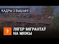 Мігранты паляць вогнішча на беларуска-польскай мяжы. Відэа з вышыні