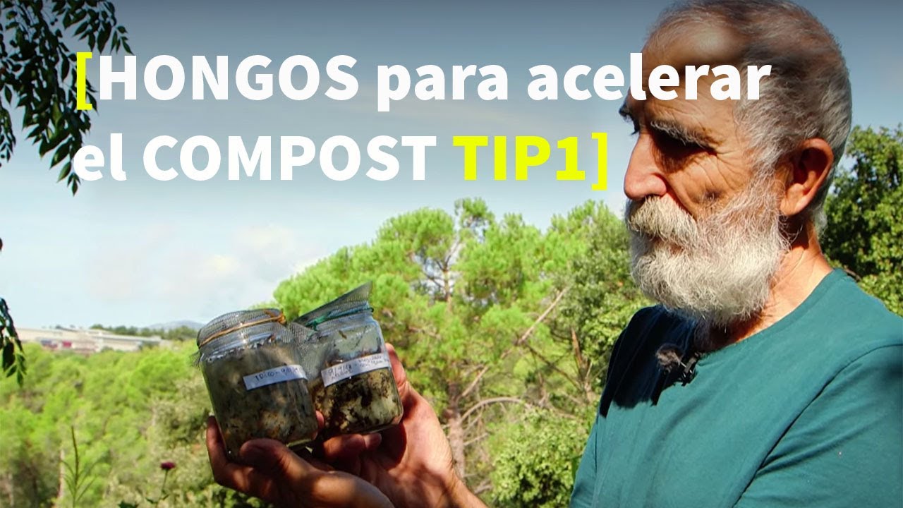 Trichoderma Compost Setup COMPOST de calidad en 1 AÑO con 🍄TRICHODERMA🍄 - YouTube