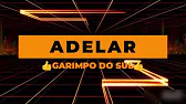 Adelar Garimpos do Sul