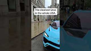 Cleanest urus #lamborghini #lamborghiniurus #chicago #cars