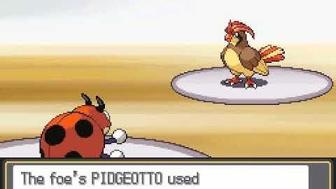 Pokemon HGSS Flying Monotype: Falkner