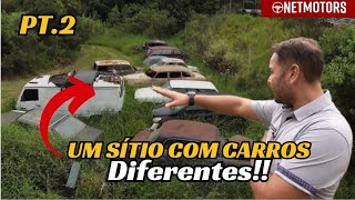 ACHAMOS UM SÍTIO COM CARROS RAROS E ABANDONADOS, ADIVINHA QUAL DELES NÓS RESGATAMOS? PT.2