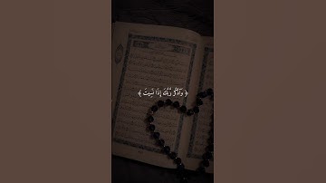 ولا تقولن لشاي إني فاعل ذلك غداً #قران #قران_كريم #راحة_نفسية #فارس_عباد #سورة_الكهف #quran