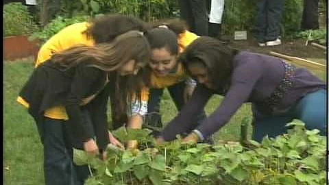 Technological Advances Alone Cannot Save the Environment