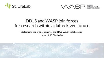 WASP DDLS join forces; June 11, 2021